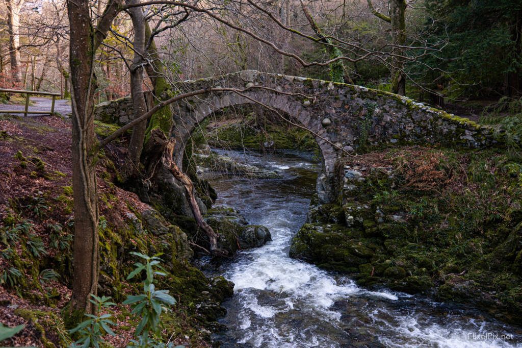 Tollymore Long exposure with the fujifilm X100, Northern Ireland photography