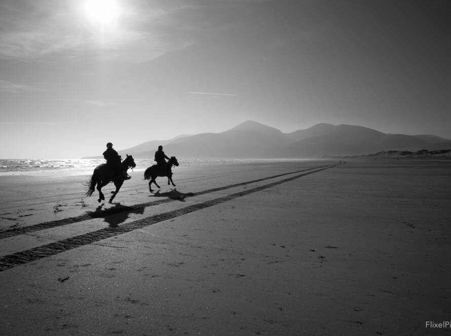 FlixelPix Photography