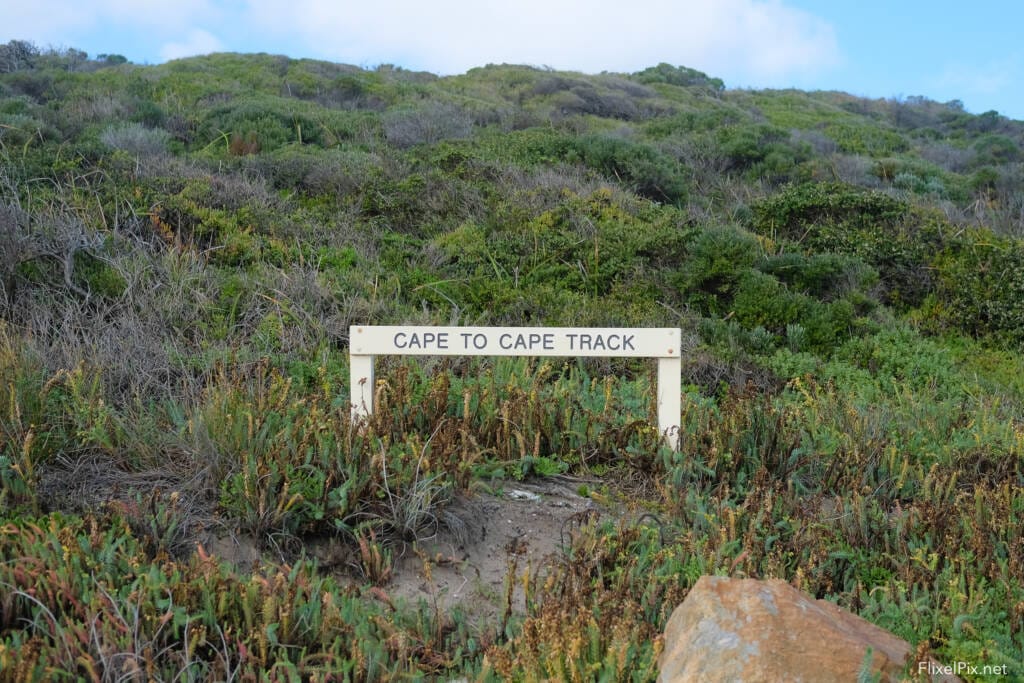 FlixelPix Photography