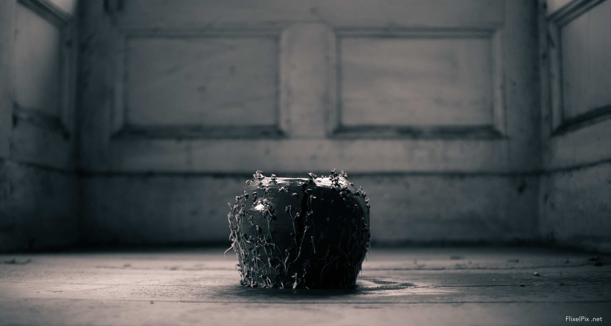 R Space Gallery Exhibition