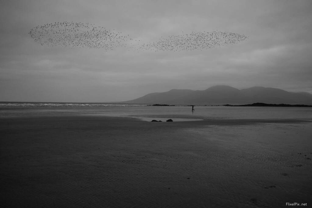 The Fujifilm X-E5 an Everyday Powerhouse 2 Fujifilm X-E5 Acros-G film simulation